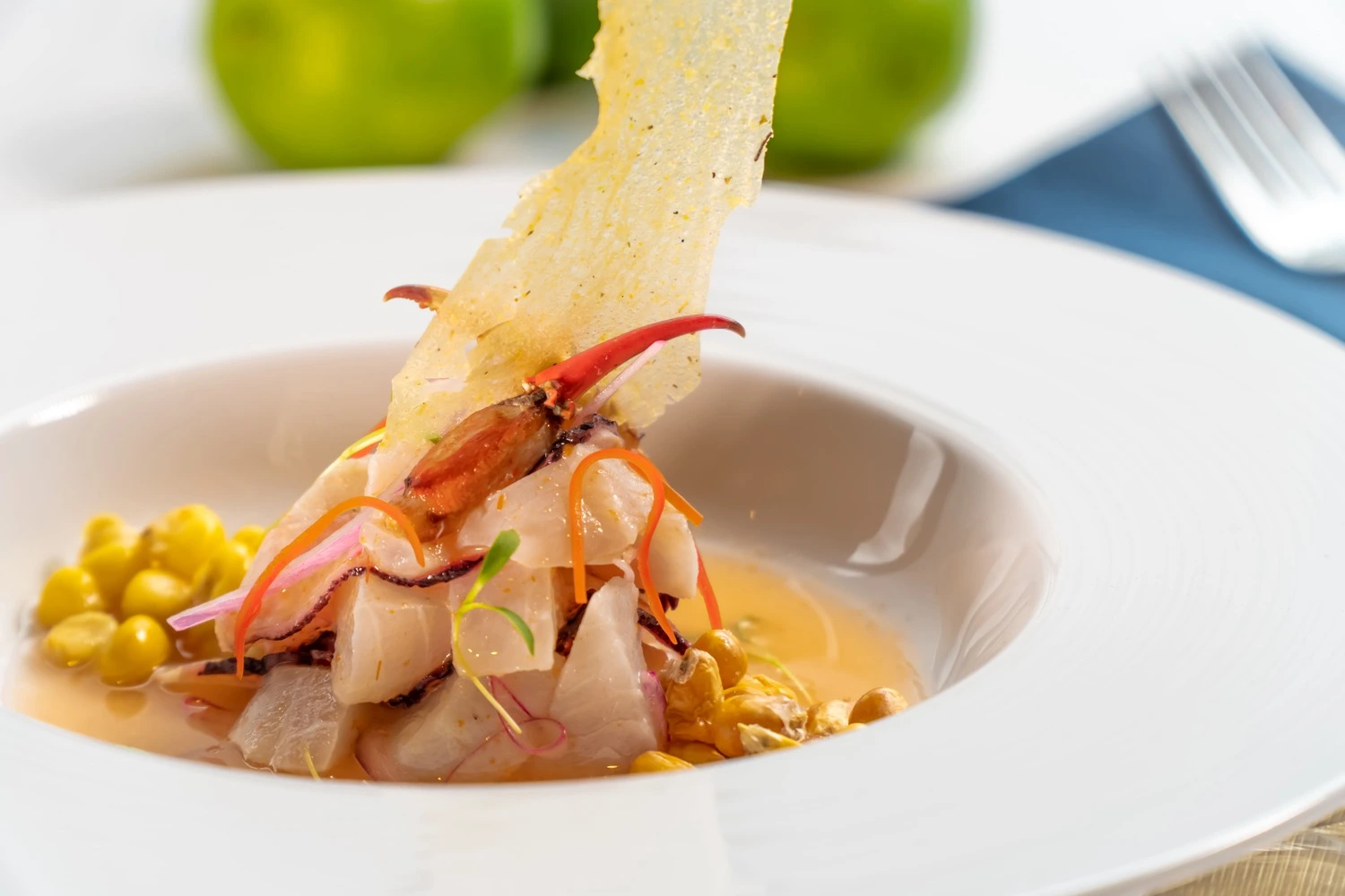 Ceviche — gastronomy editorial